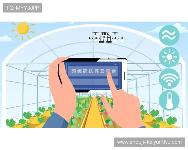 开云正规官网如何保障消费者权益提供安全可靠的购货环境