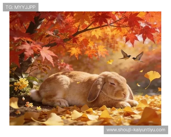 开运登录开启幸运之门,助你在新的一年里财运亨通事业腾飞 开运登录开启幸运之门,助你在新的一年里财运亨通事业腾飞