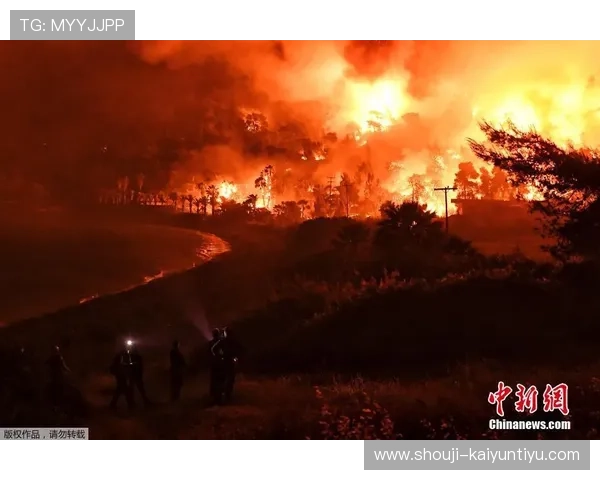 开云体育app入口官网提供多种登录方式，满足不同设备用户的便捷访问需求
