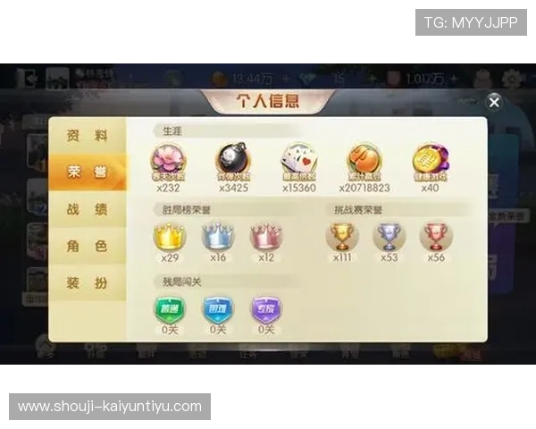21点棋牌游戏怎么玩才能赢得更多,详细步骤与策略技巧全方位介绍 21点棋牌游戏怎么玩才能赢得更多,详细步骤与策略技巧全方位介绍